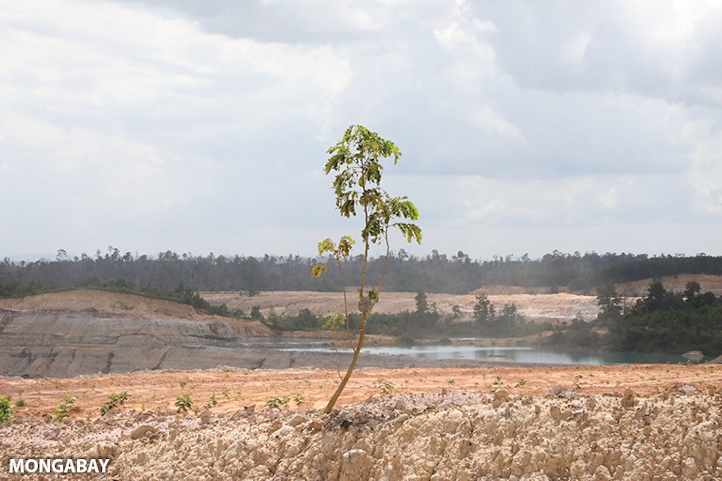 Explainer: What Is the 'Great Green Wall' of China?