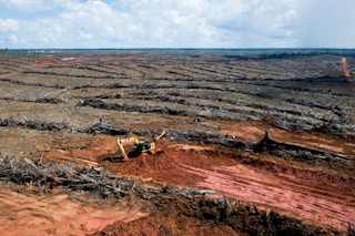 Widespread land clearing in a Korindo-owned PT Papua Agro Lestari concession in Papua