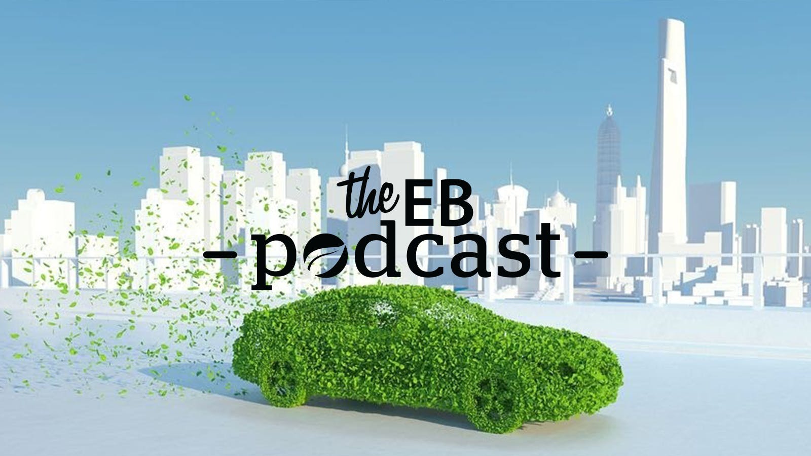 Eco-Business Podcast with Assaad Razzouk