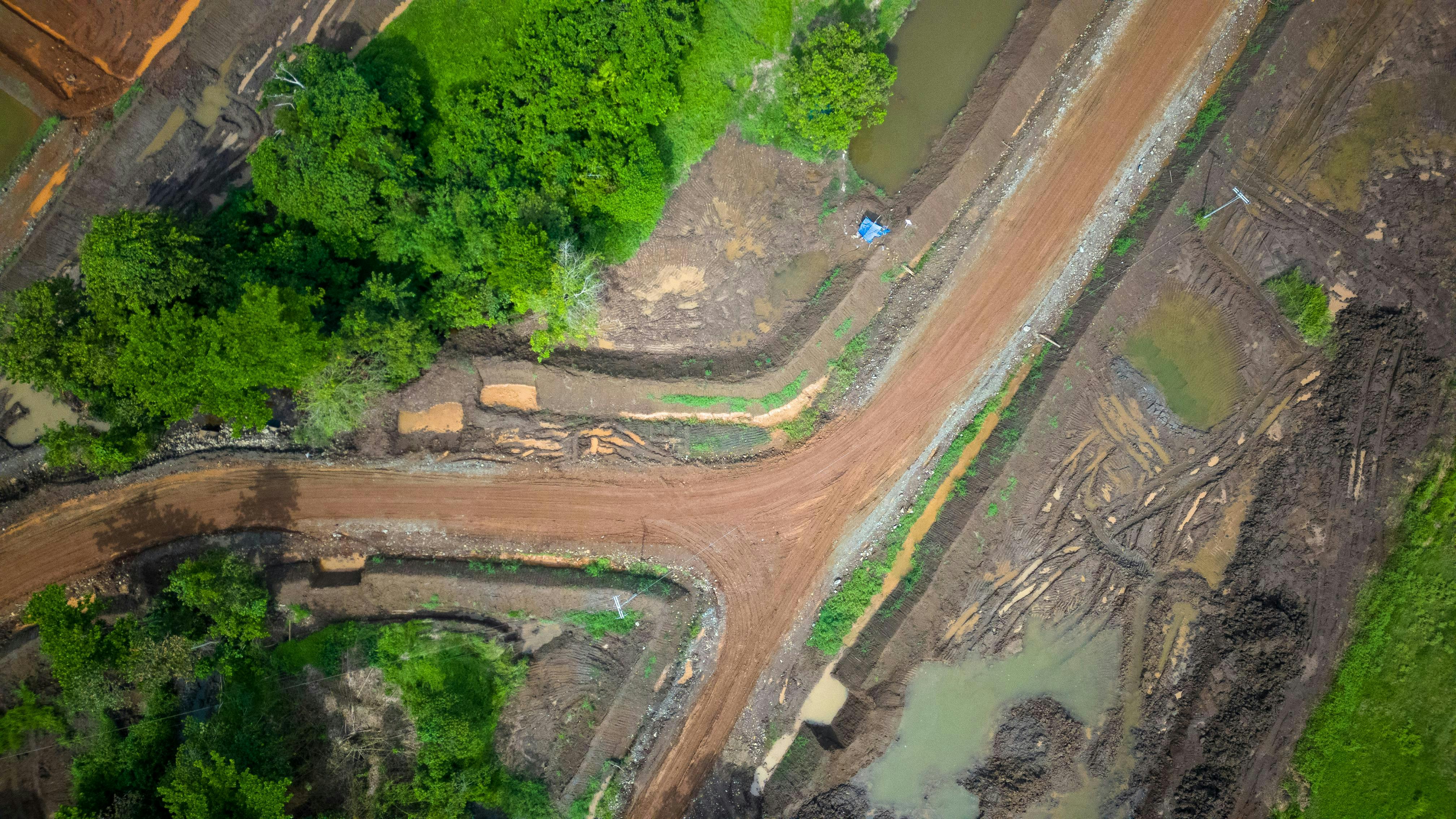 Brooke's Point Palawan deforestation