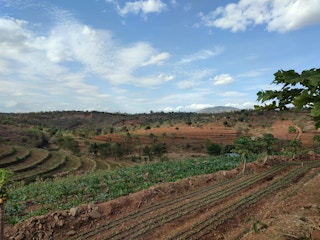 farming kenya