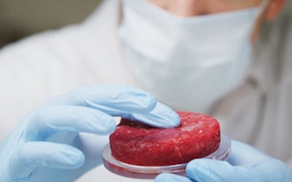 cultured meat lab