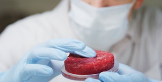 cultured meat lab