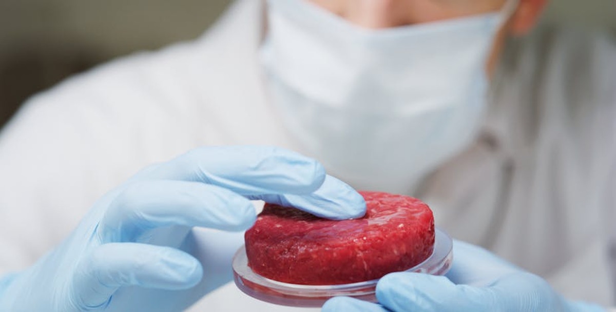 Cultured meat? This could create more problems than it solves | Opinion |  Eco-Business | Asia Pacific