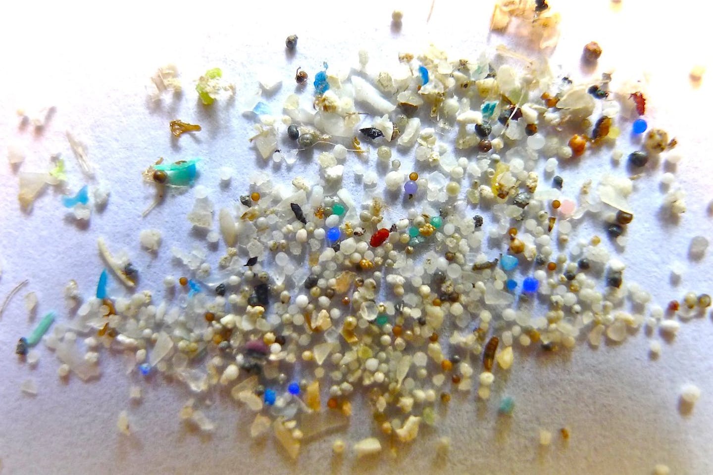 Dangers of Microplastics