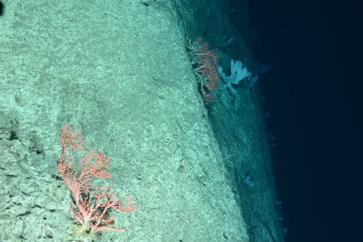 deep sea
