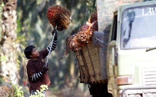 Who gets to define sustainable palm oil?