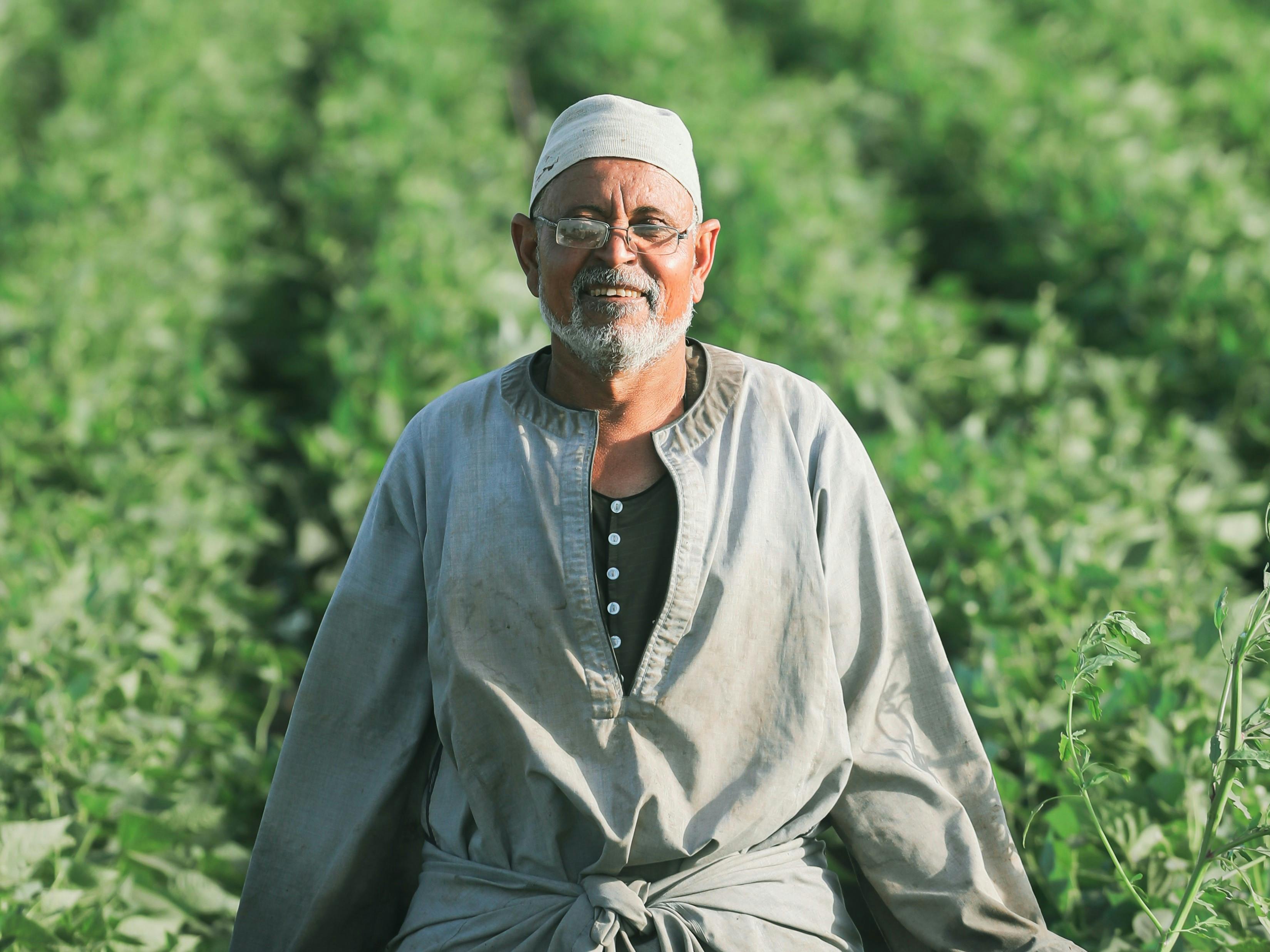Egypt farmers