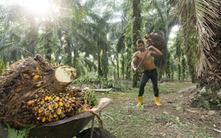 Palm oil worker, Malaysia