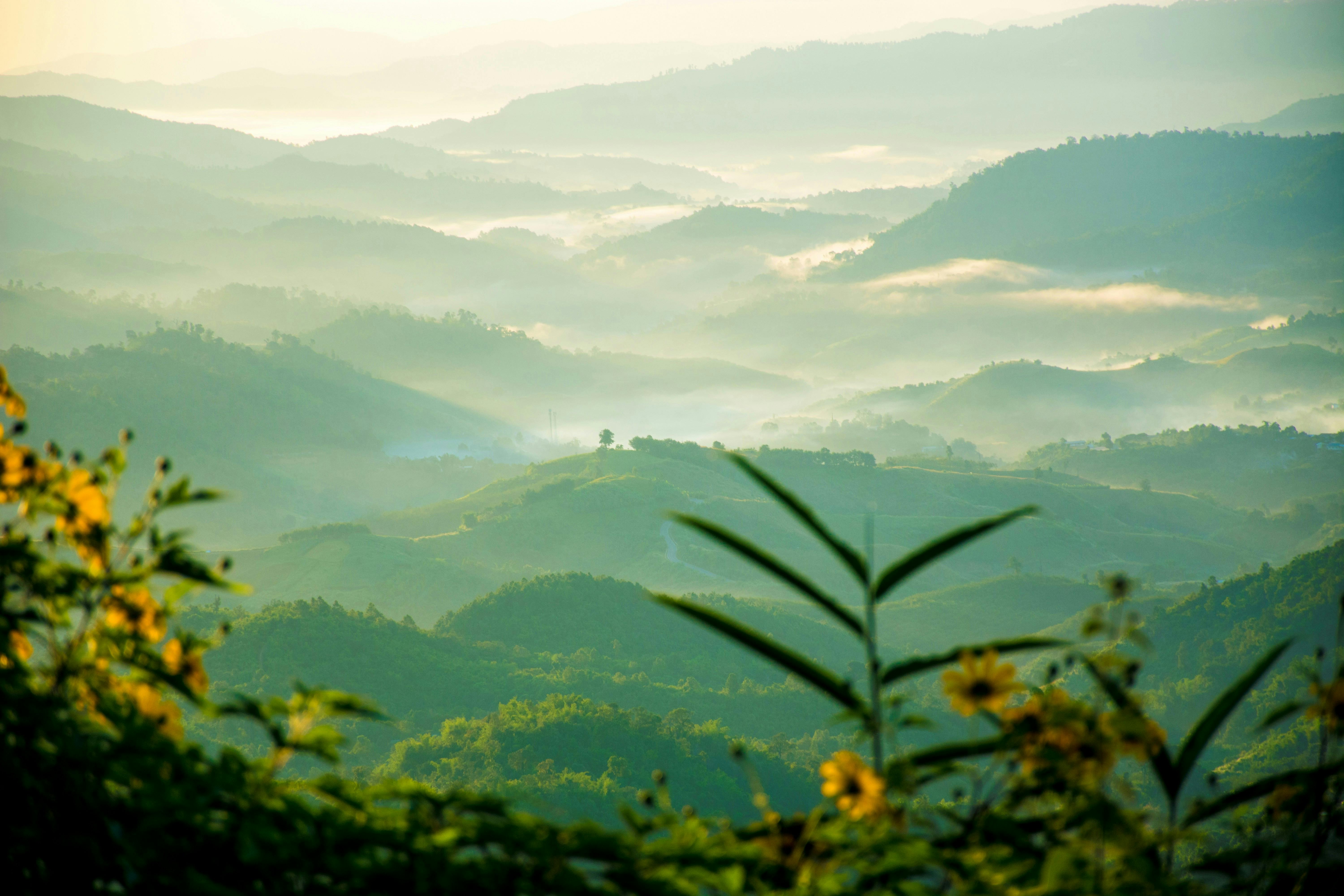 Northern_Thailand_River_Pollution