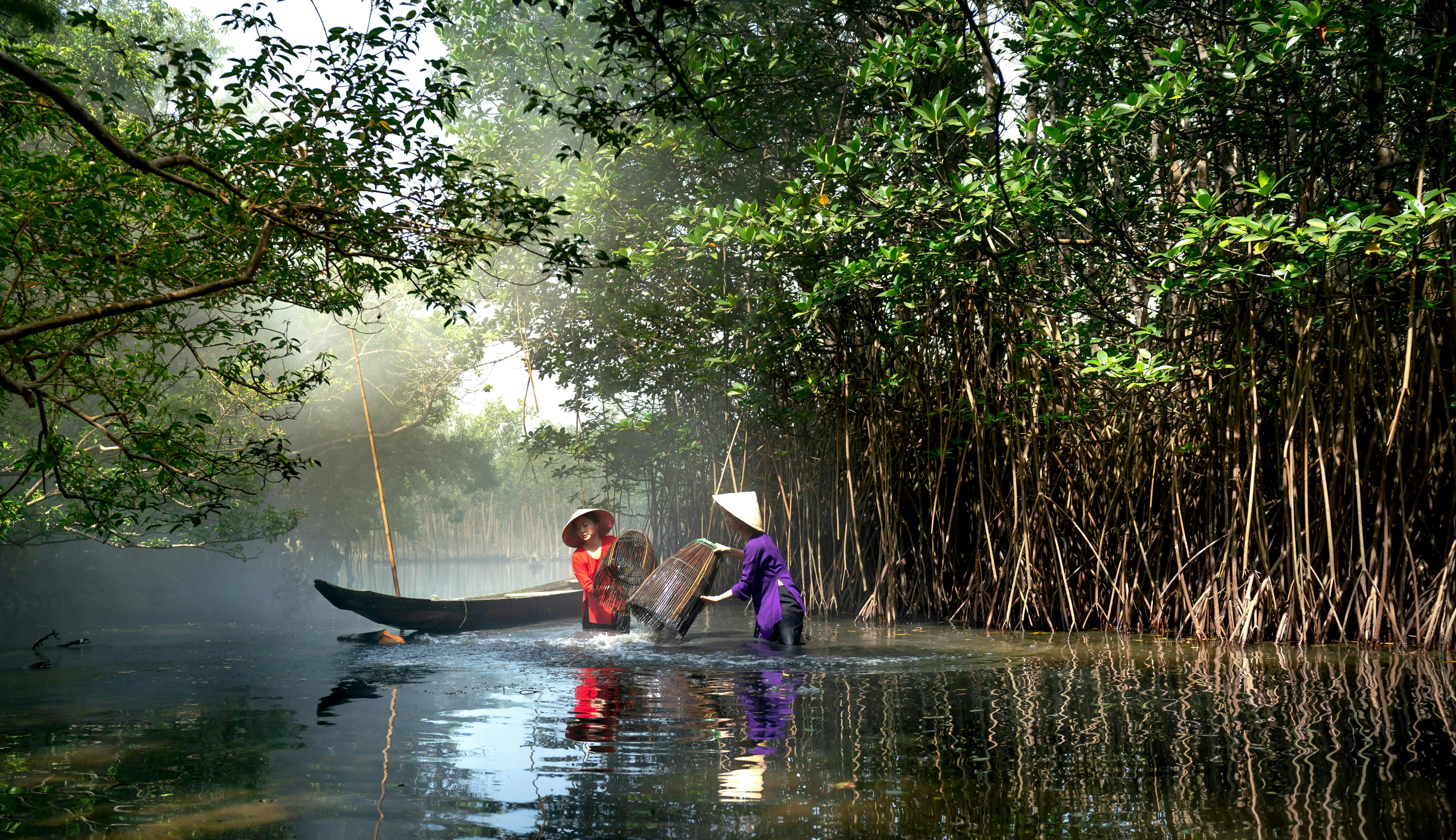 Vietnam, Indonesia launch new regulations for forest carbon projects