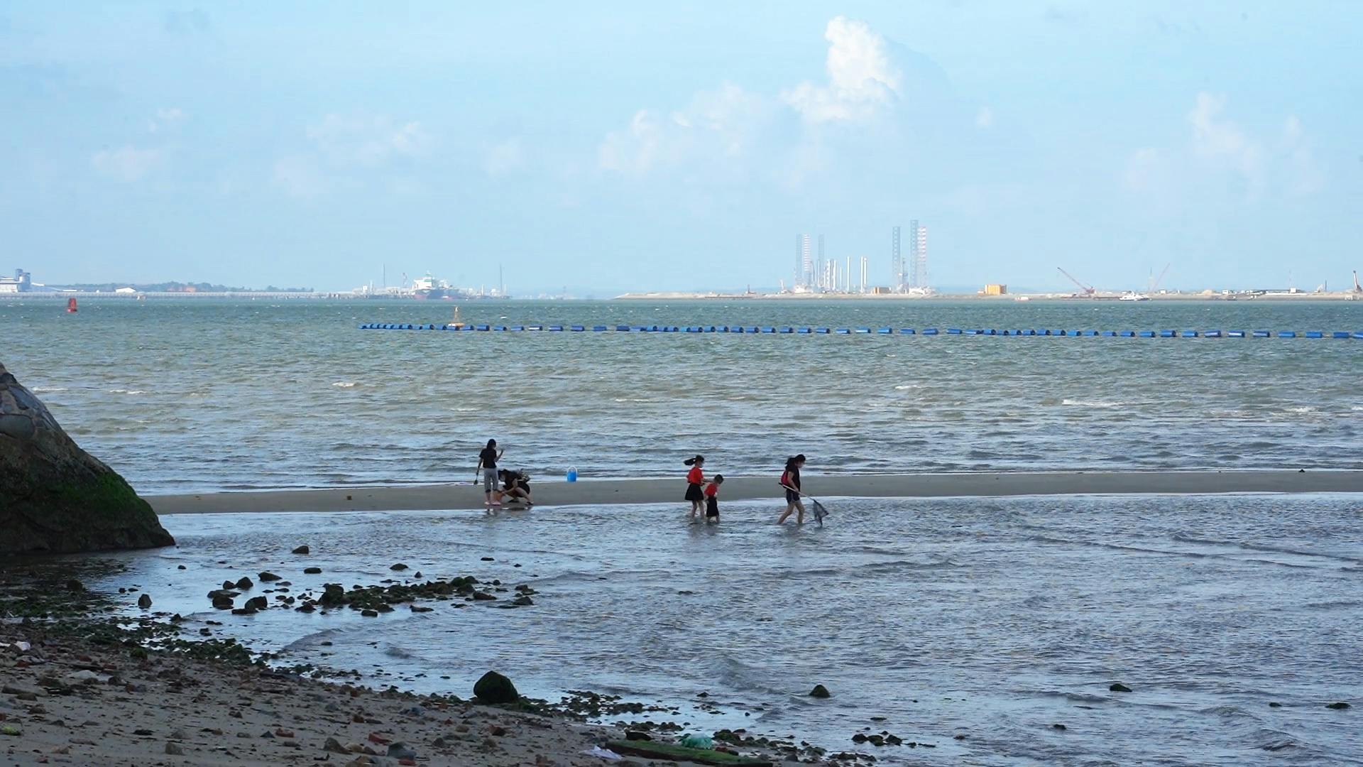 picking wildlife changi beach
