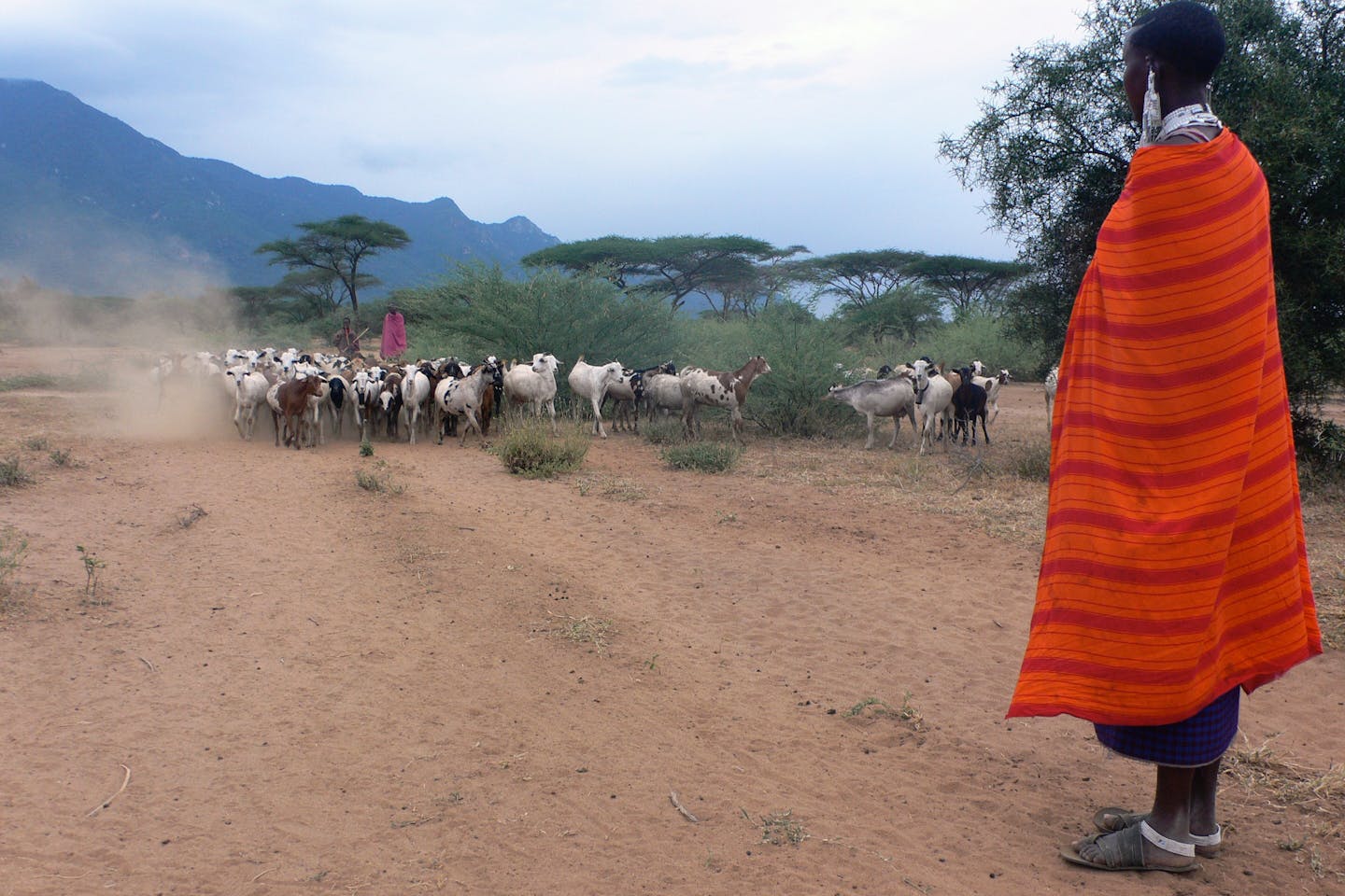 farmer in africa