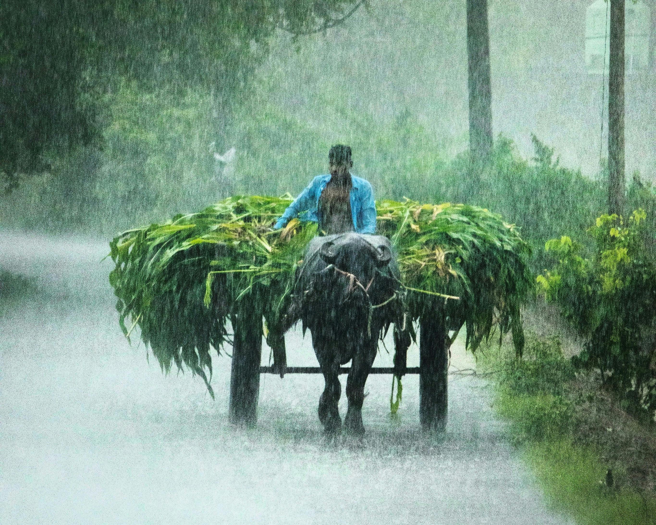 Extreme_Weather)_Cloudburtst_India
