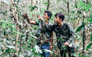 Chefs scour the forest for ingredients to cook with at Cambodian luxury resort Shinta Mani Wild. Image: Marissa Carruthers