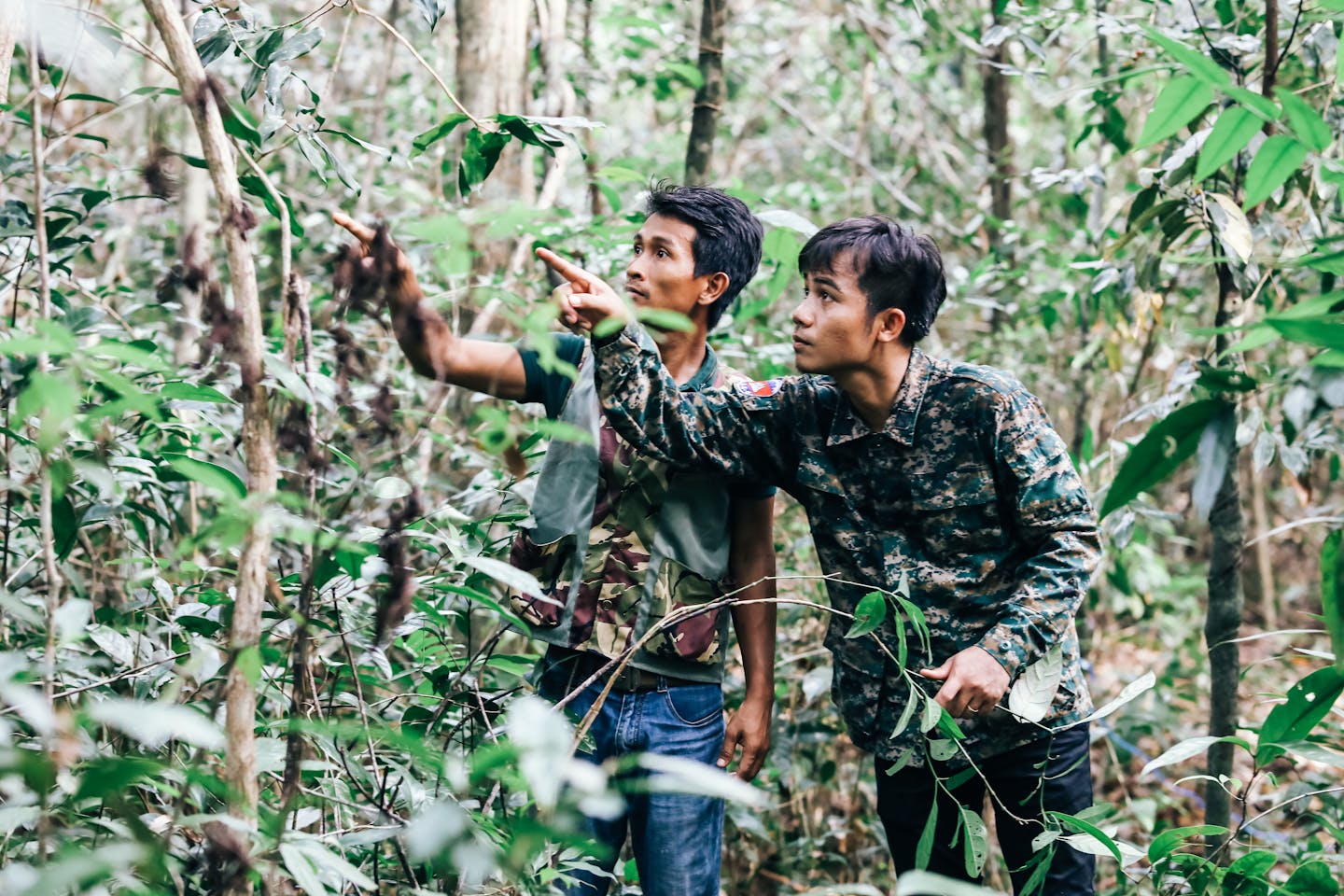 Chefs scour the forest for ingredients to cook with at Cambodian luxury resort Shinta Mani Wild. Image: Marissa Carruthers