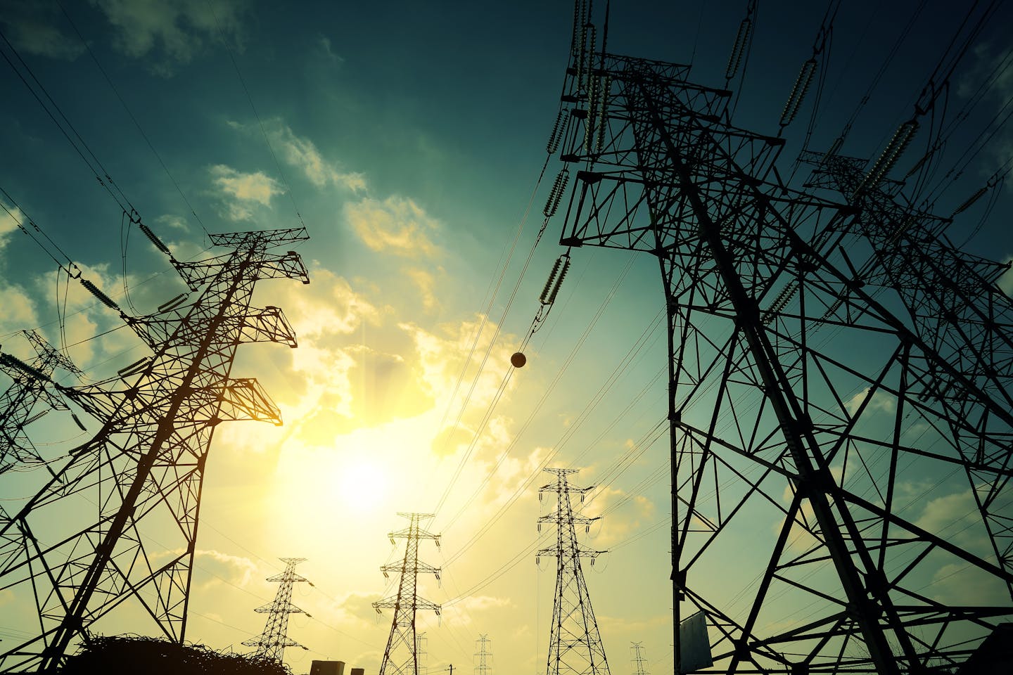 artistic shot of power grids