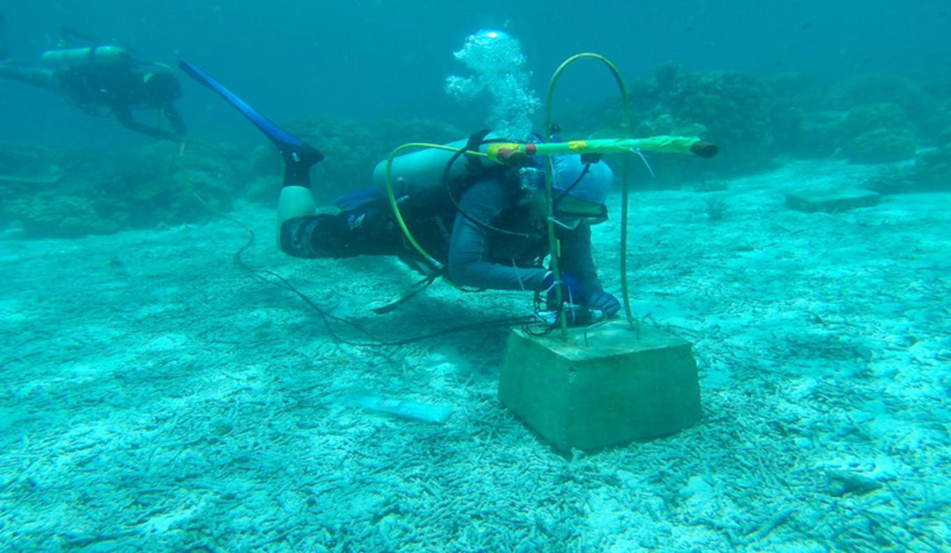 A blast detector is installed by a diver in the seabed in the waters of Sabah