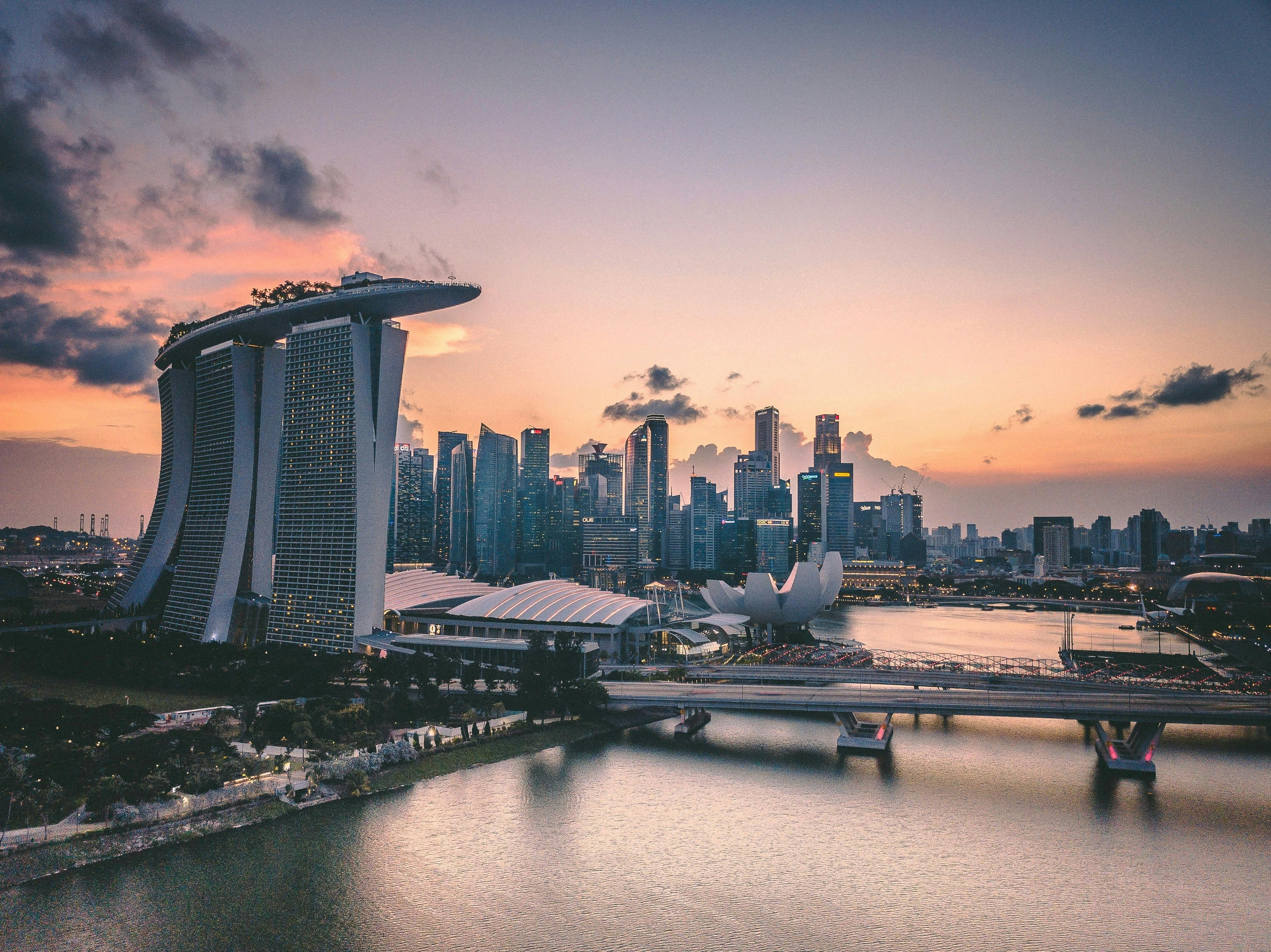 A view of Singapore - report