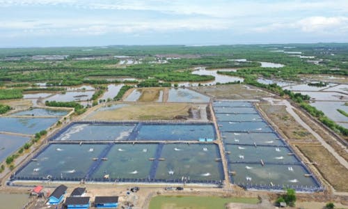 Indonesia eyes sustainable fish farming with ‘aquaculture villages’