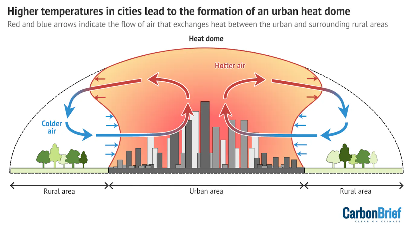 Climate Buffer Rural ‘buffer ring’ can reduce urban heat island effect by more than 0. ...