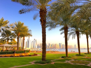 Dubai_palm trees