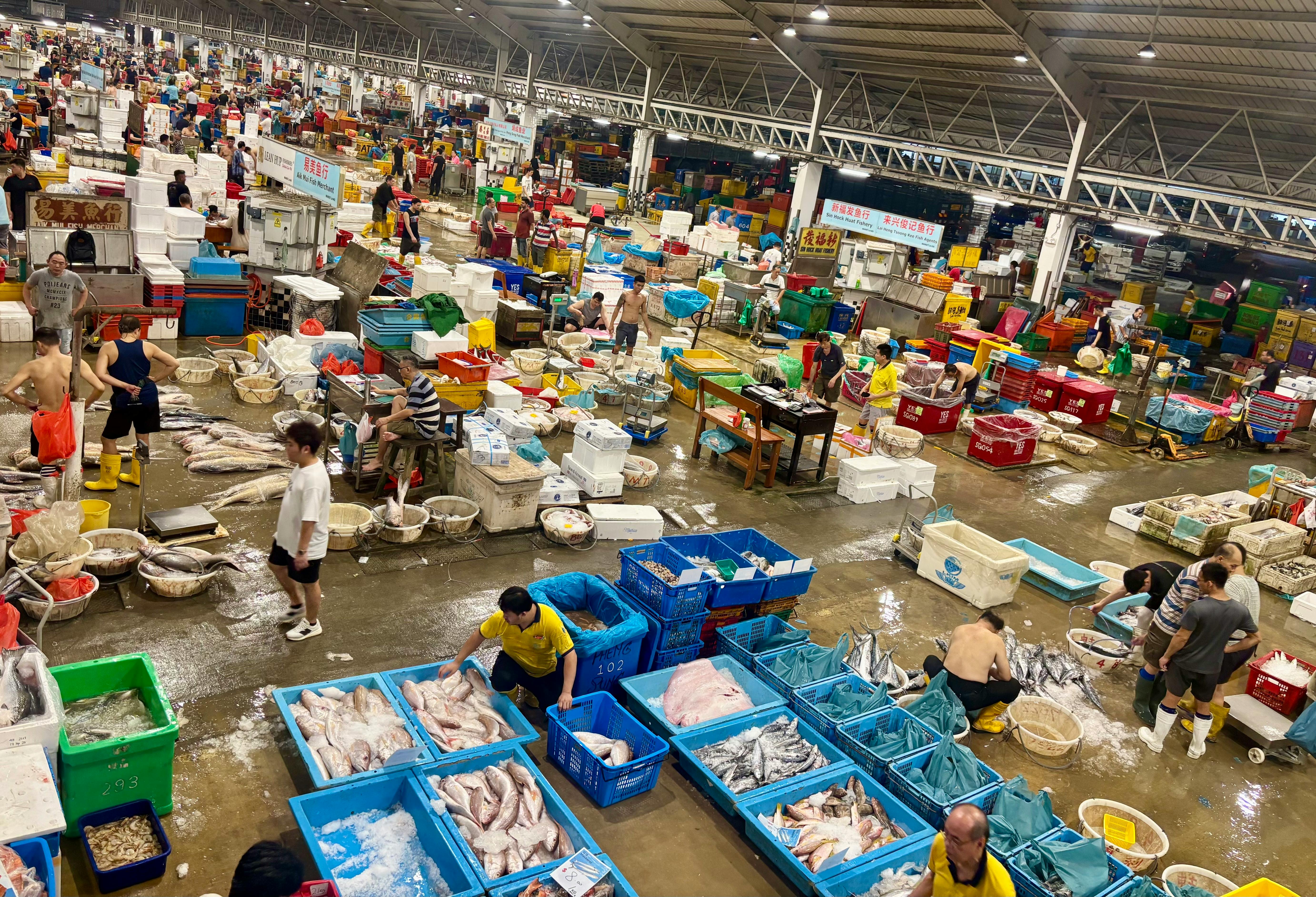 Jurong Fishery Port from above