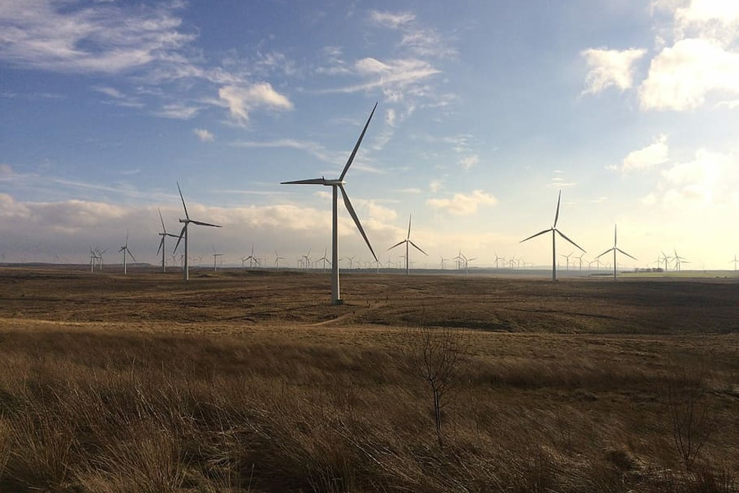 whitelee wind farm 2