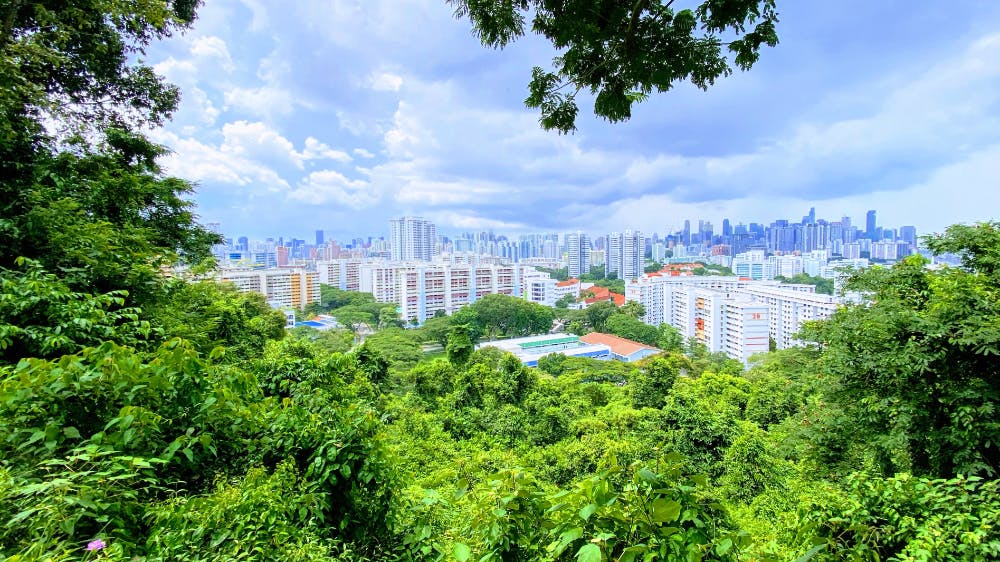 Singapore Gardens by the Bay