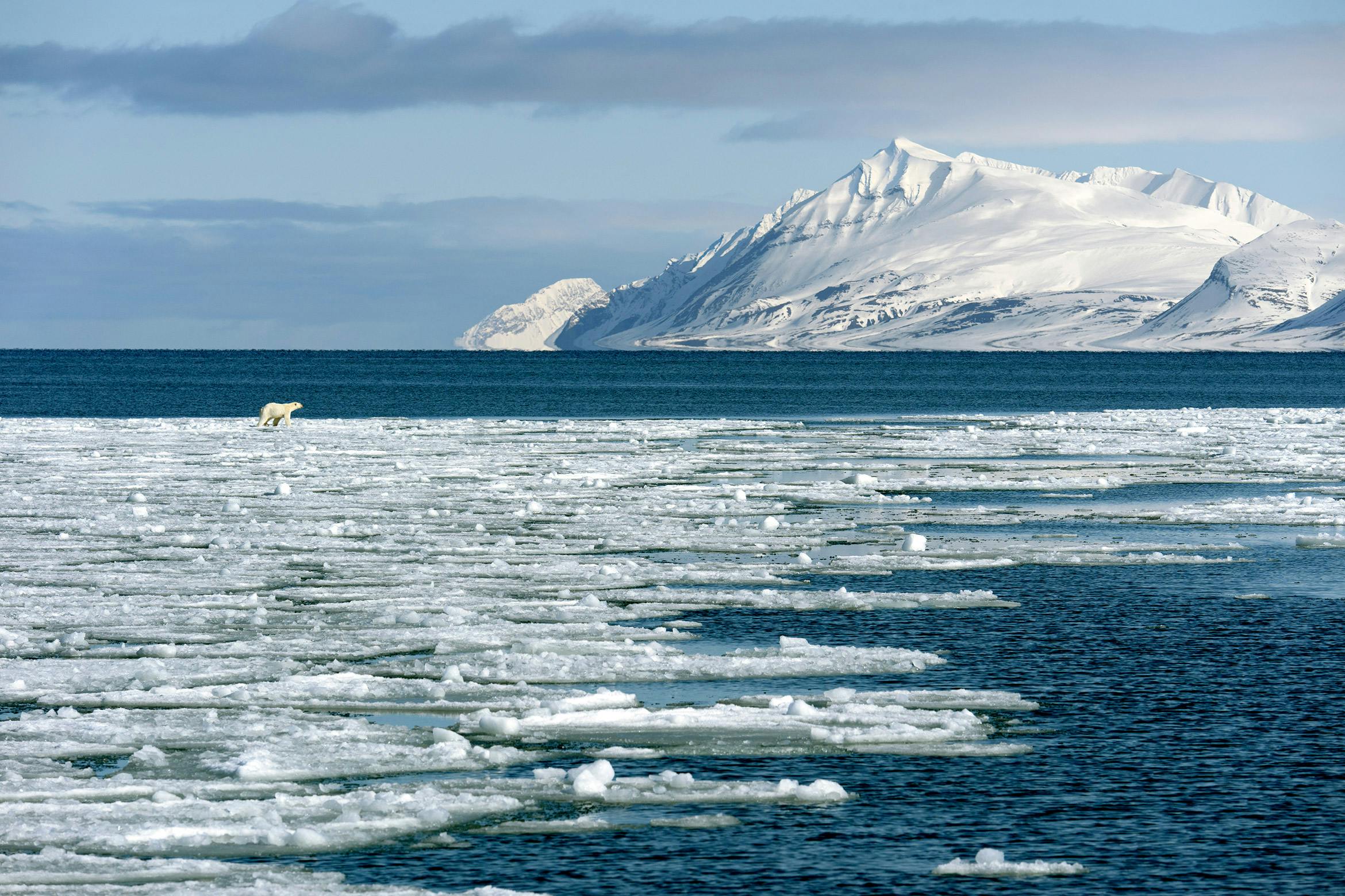 Image: mtanenbaum/Pixabay