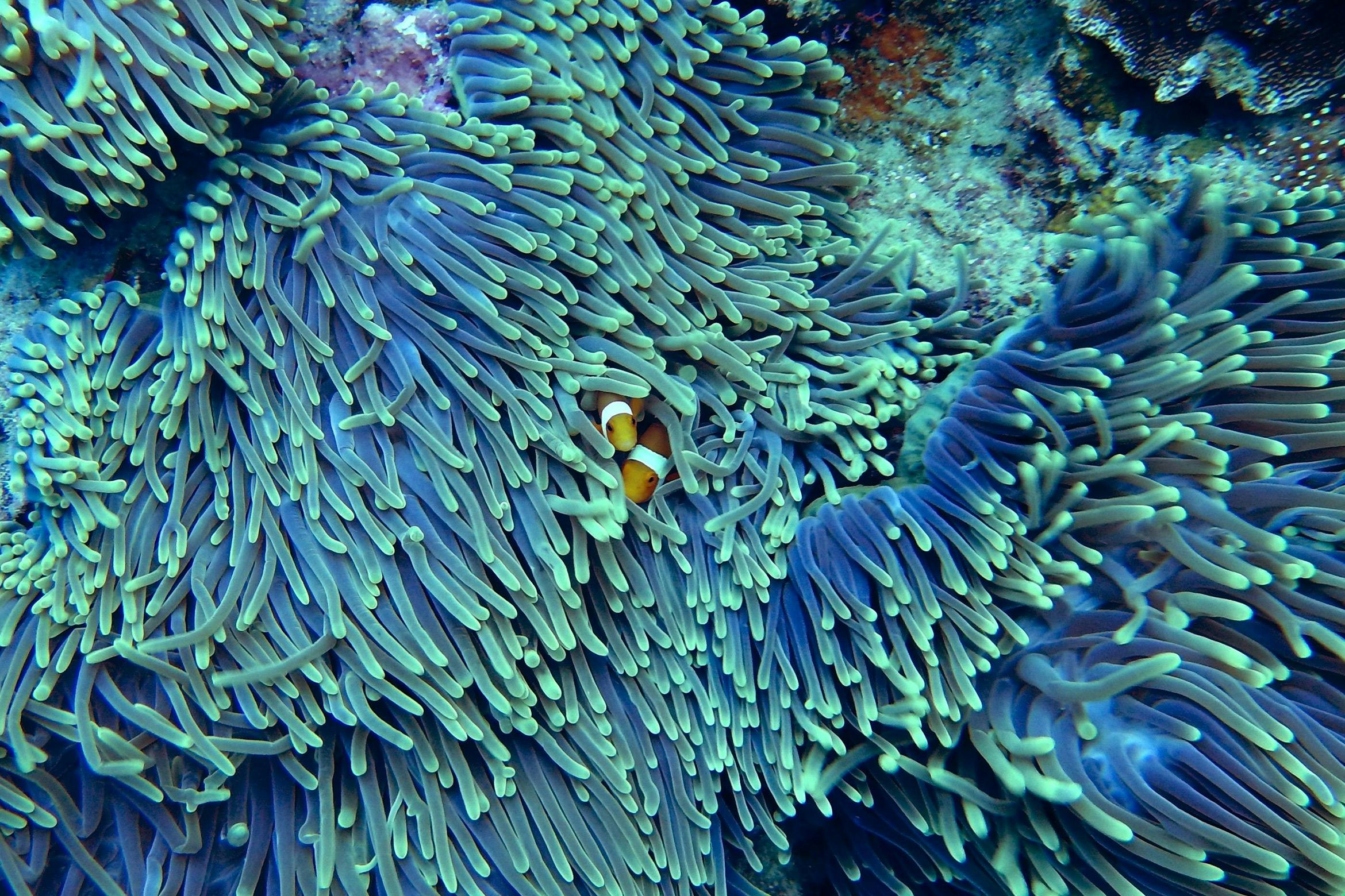 Image: Pexels/Pixabay