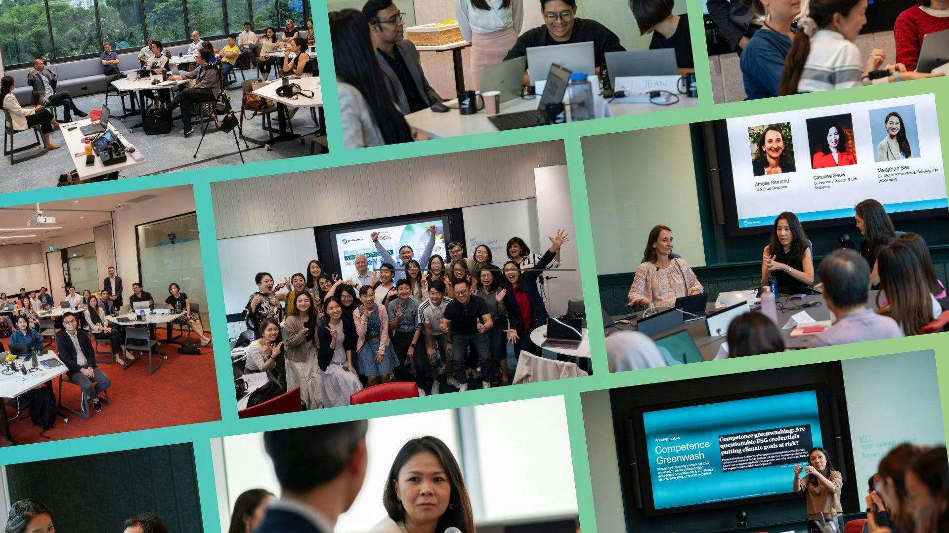 Eco-Business training