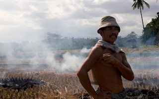 smallholder farmer burns field in Indonesia