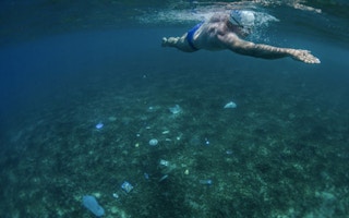 swimming with plastic