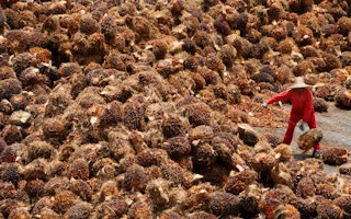 over supply palm oil