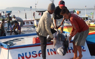 Indonesia tuna fisheries certification