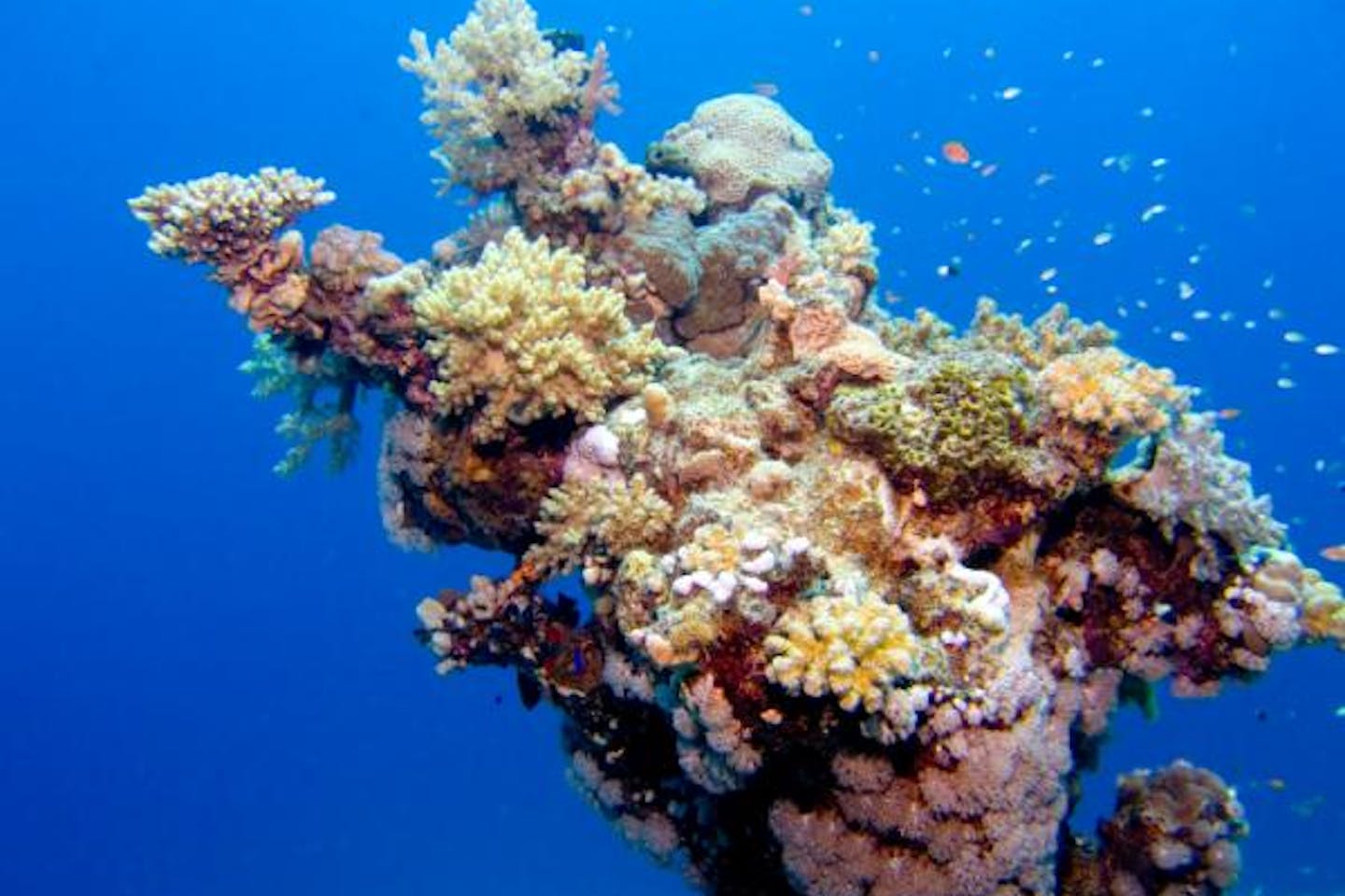 Ocean acidification