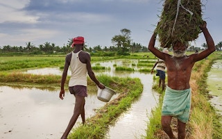 Farmers in Tamil Nadu