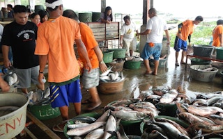 fish markets in the philippines