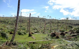 deforestation in davao