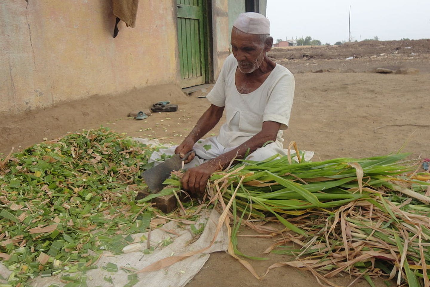indian farmer