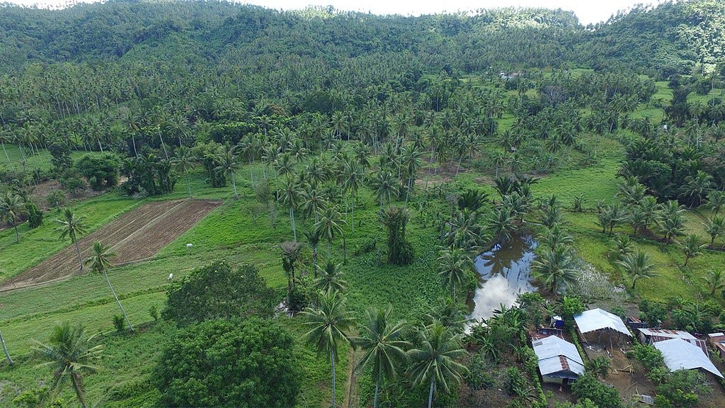 indonesian communities 