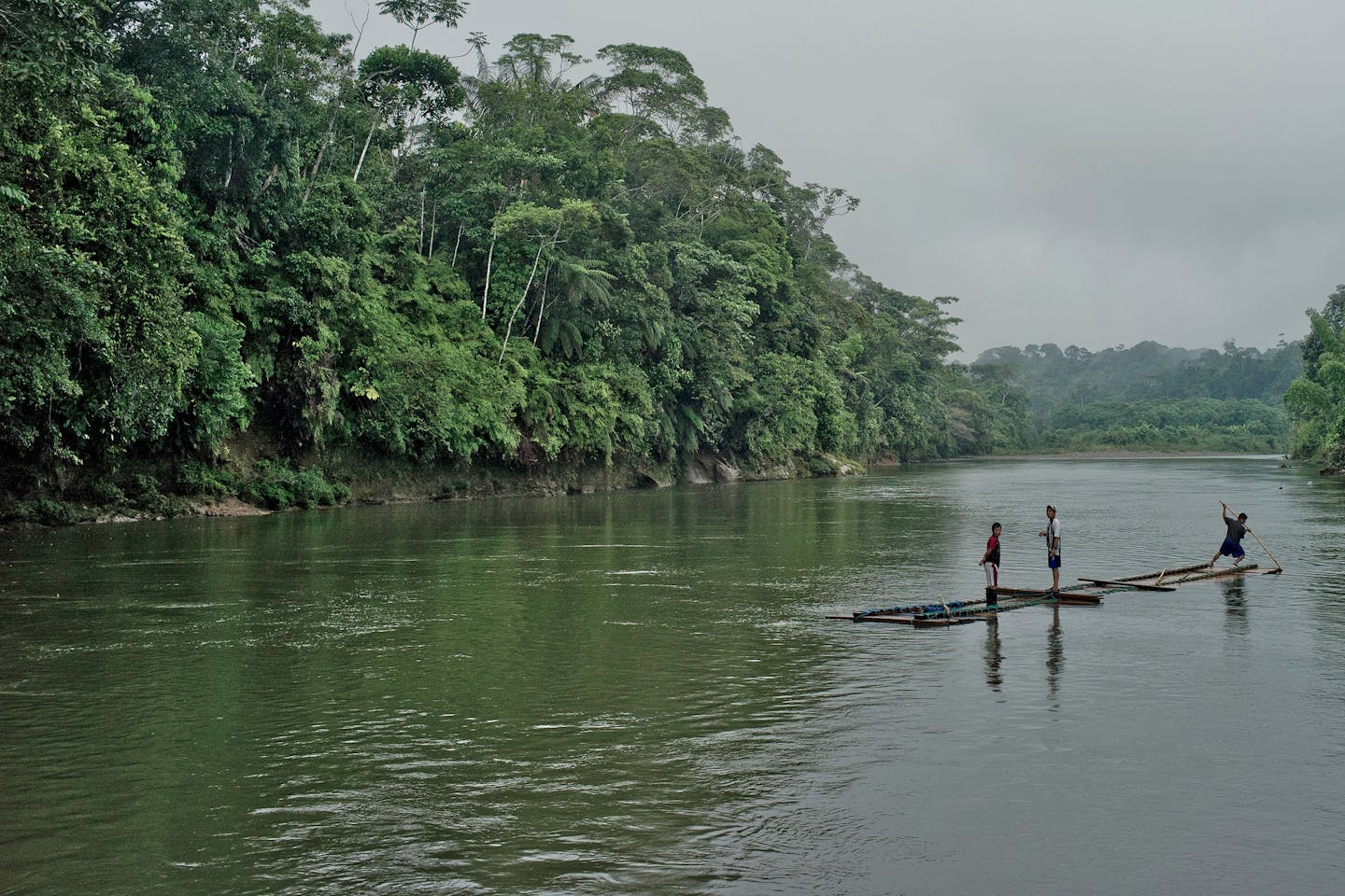 amazon forest rafting