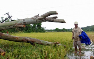 flood-damaged crops in the Philippines
