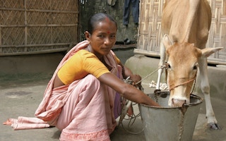microfinance bangladesh suva rani