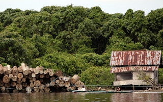 illegal logs in Central Kalimantan