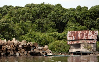 Local villagers float past a pile of illegally logged trees in Central Kalimantan, Indonesia