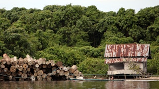 Local villagers float past a pile of illegally logged trees in Central Kalimantan, Indonesia