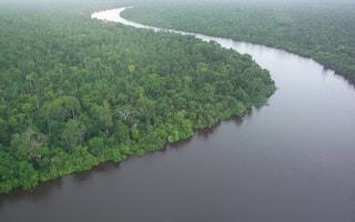 indonesia kalimantan peat river