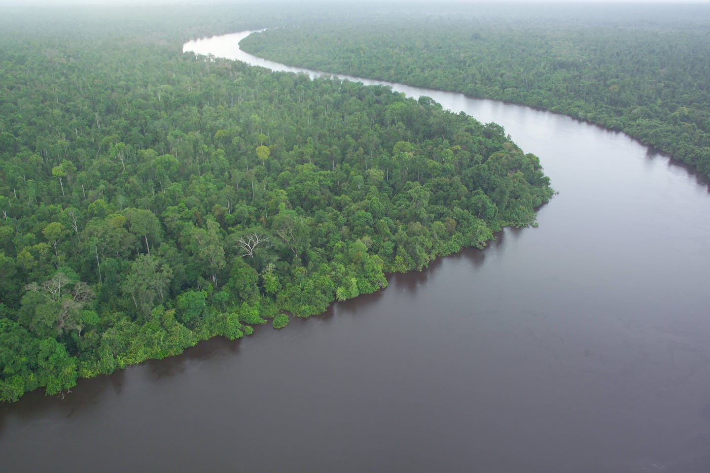 indonesia kalimantan peat river
